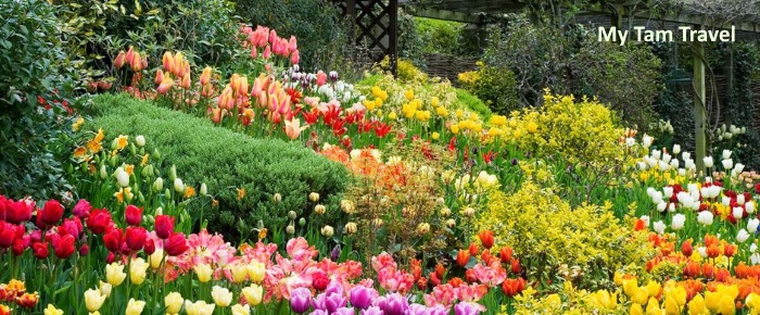 vuon-hoa-dalat.jpg (171 KB)